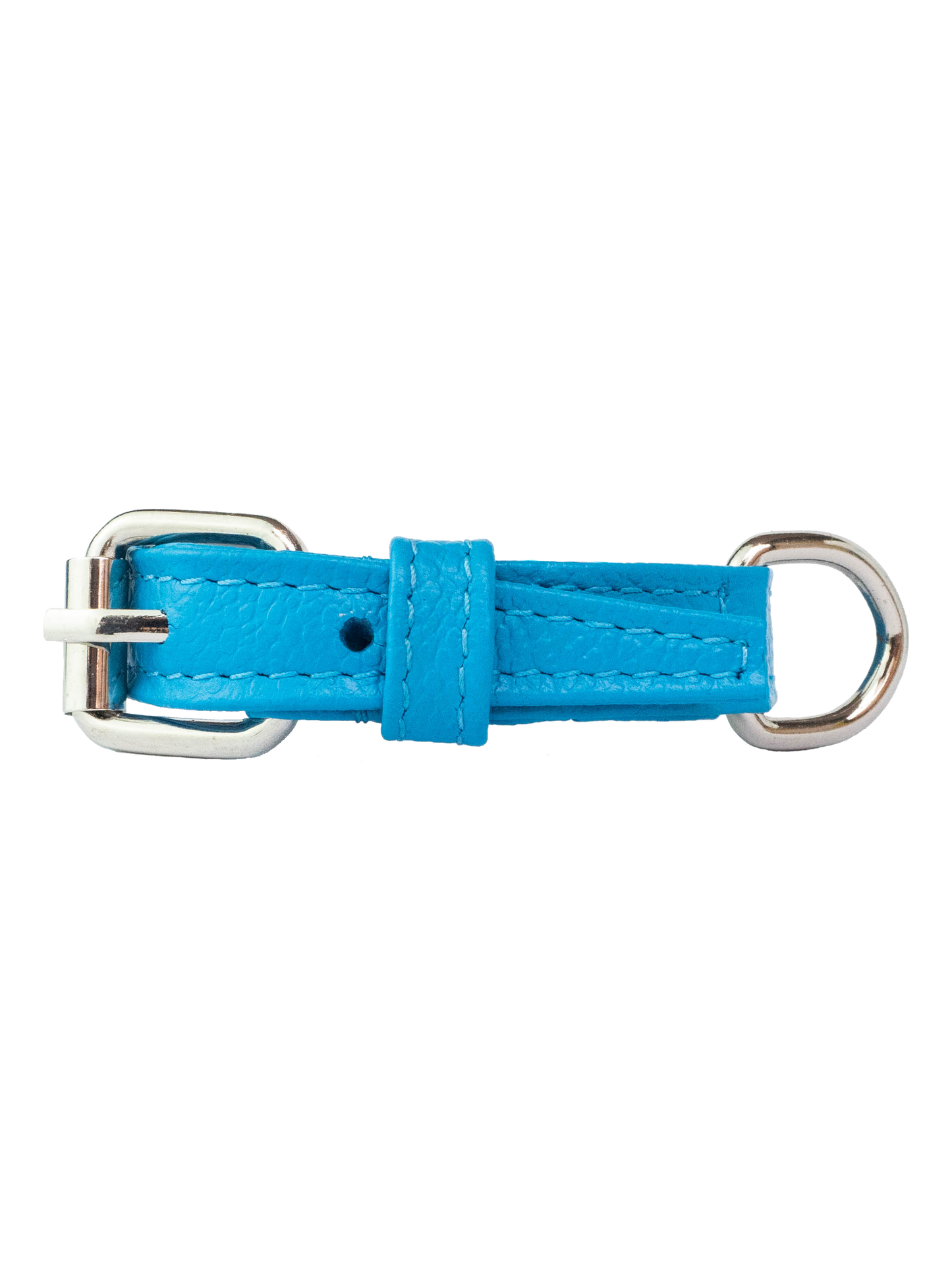 Collar de Gato Azul