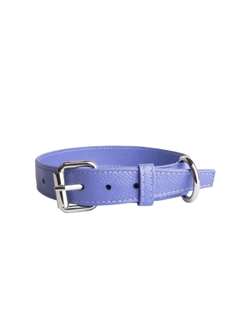 Collar de Perro Lila