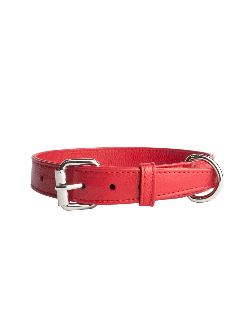 Collar de Perro Rojo