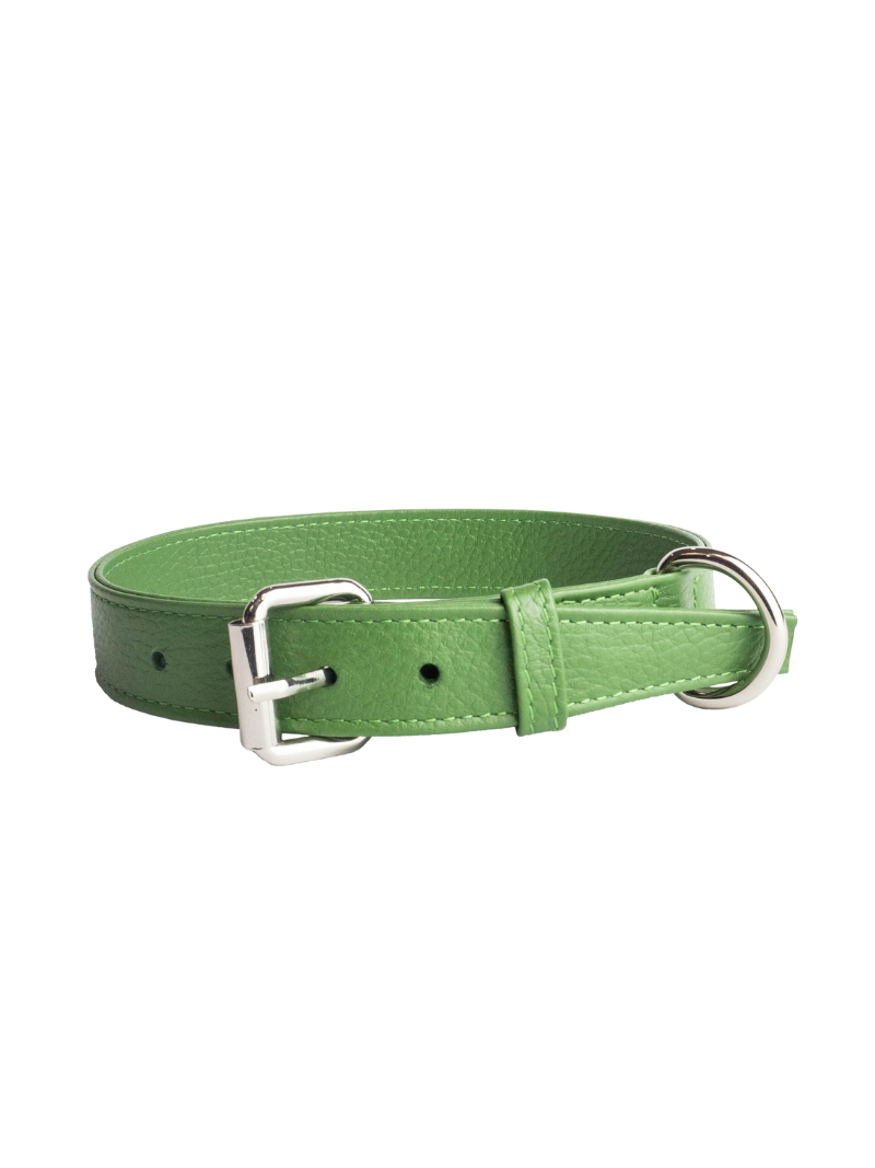 Collar de Perro Verde