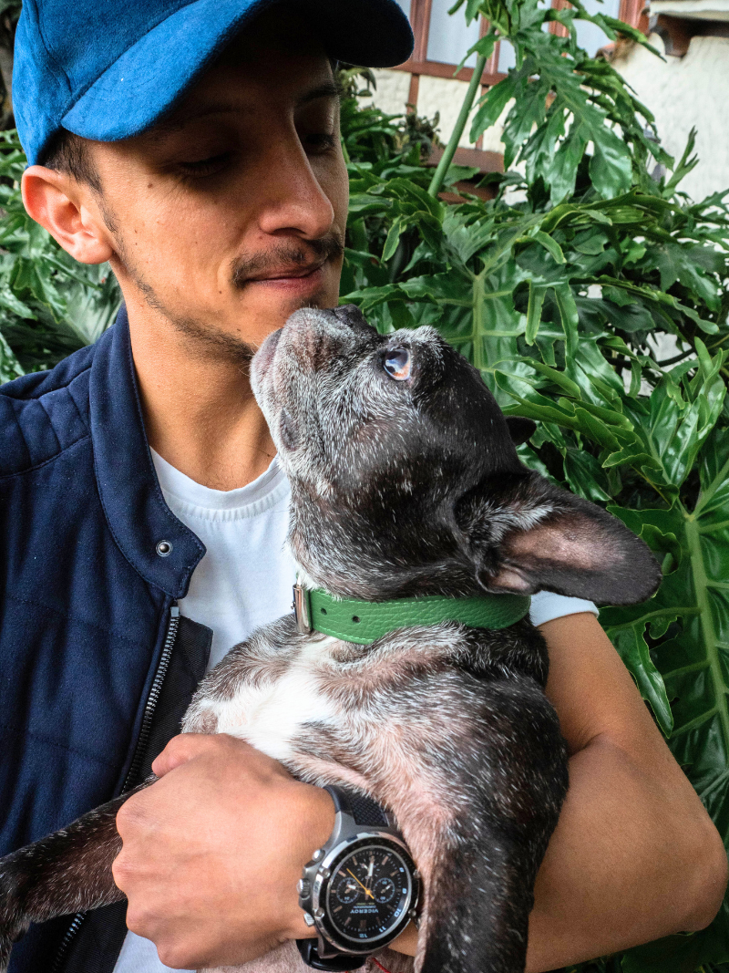 Collar de Perro Verde
