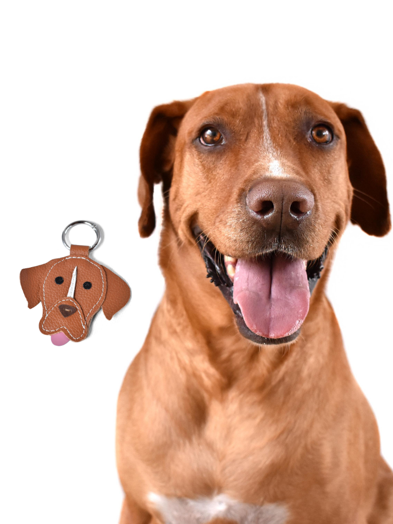 Personalized Dog Keychain