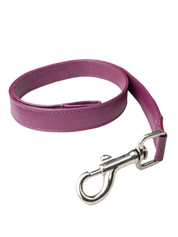 Leash: strap part