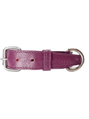 Roni Dog Collar