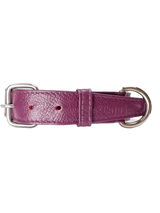 Collar de Perro Roni