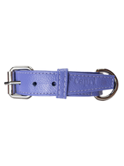 Roni Dog Collar