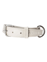 Roni Dog Collar