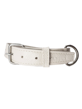 Roni Dog Collar