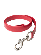 Leash: strap part