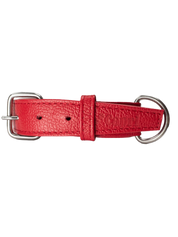 Roni Dog Collar