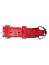 Collar de Perro Roni