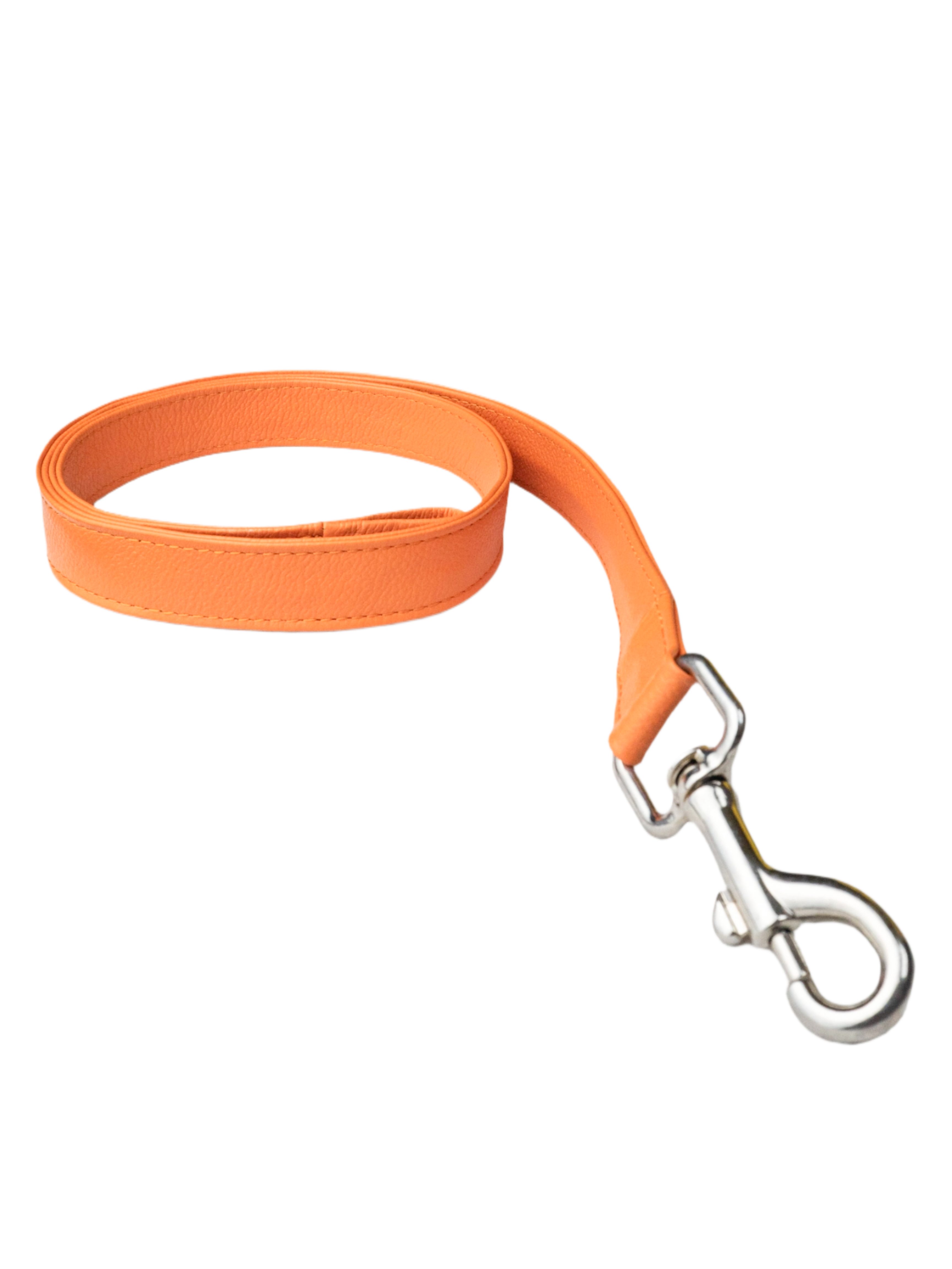 Leash: strap part