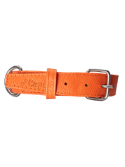Roni Dog Collar