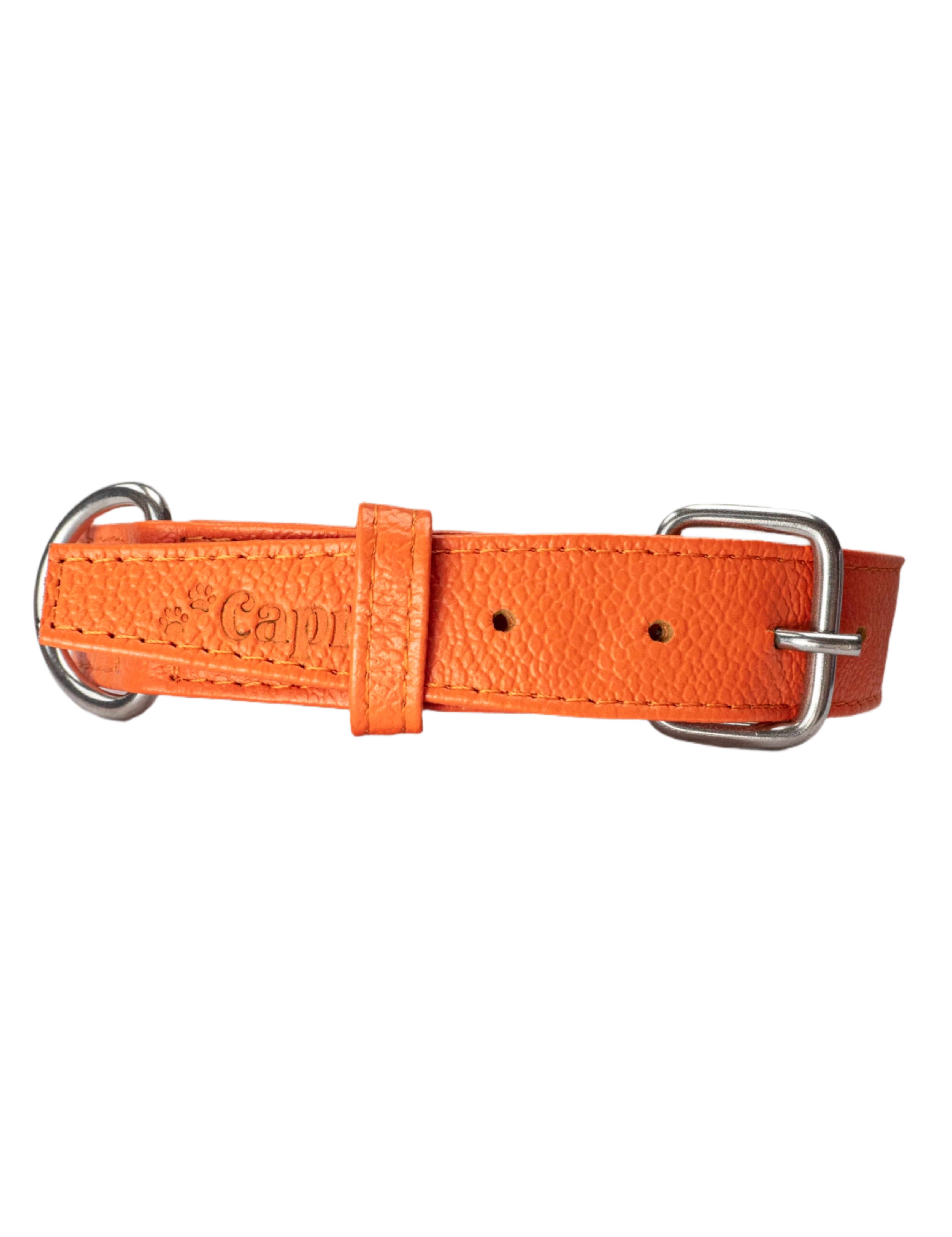 Roni Dog Collar