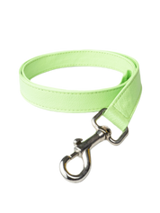 Leash: strap part