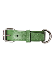 Roni Dog Collar