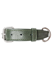 Roni Dog Collar