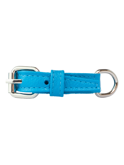 Collar de Gato Azul