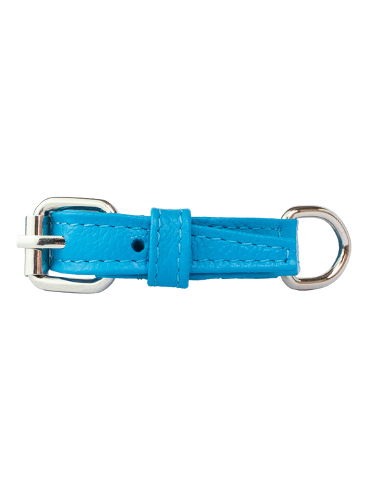 Collar de Gato Azul