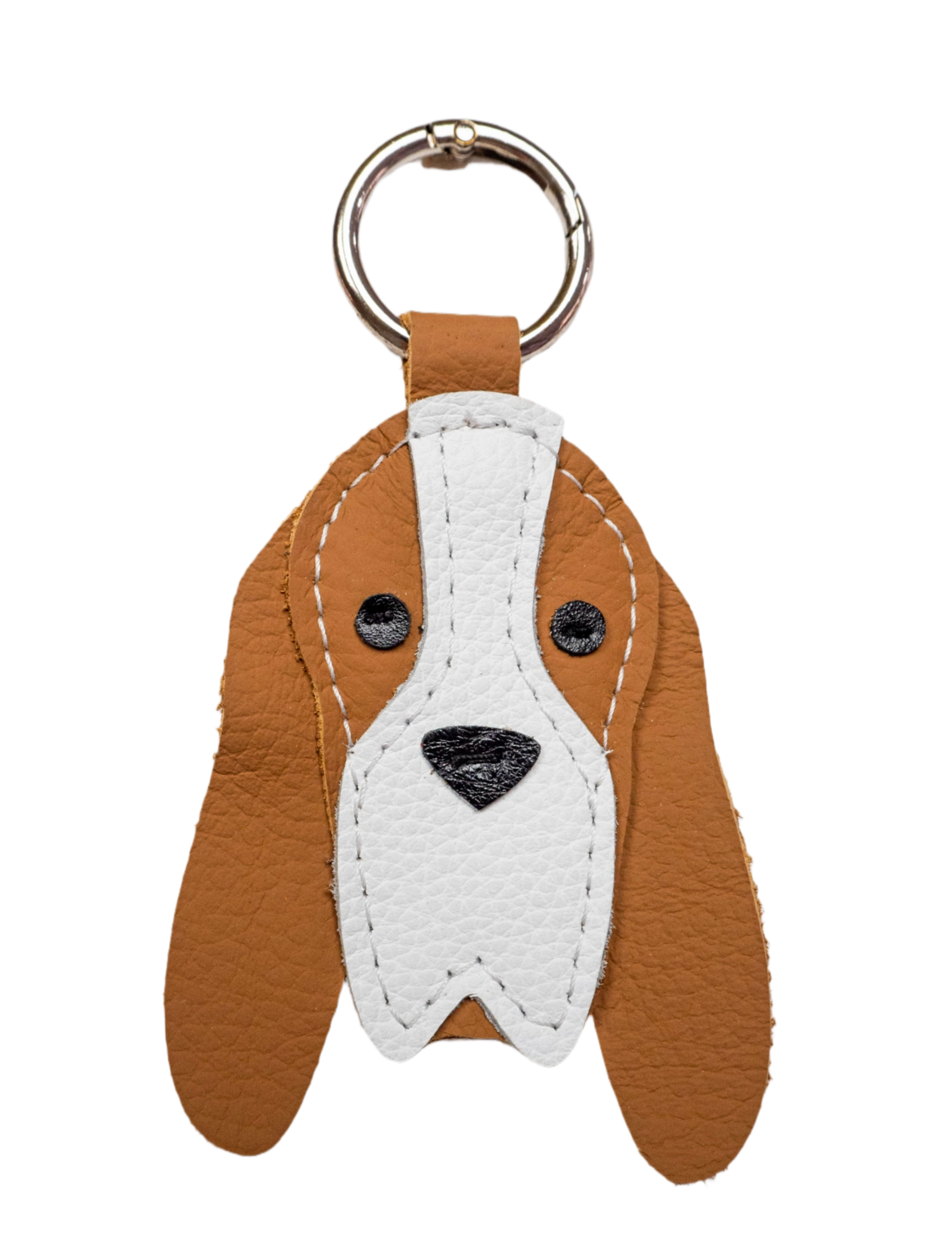 BassetHound.png