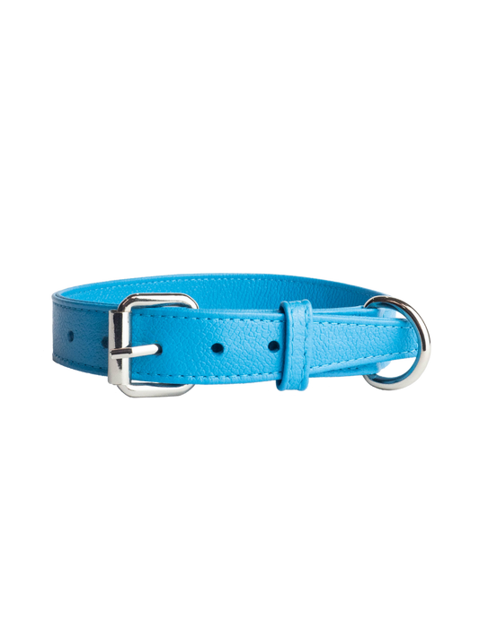 Collar de Perro Azul