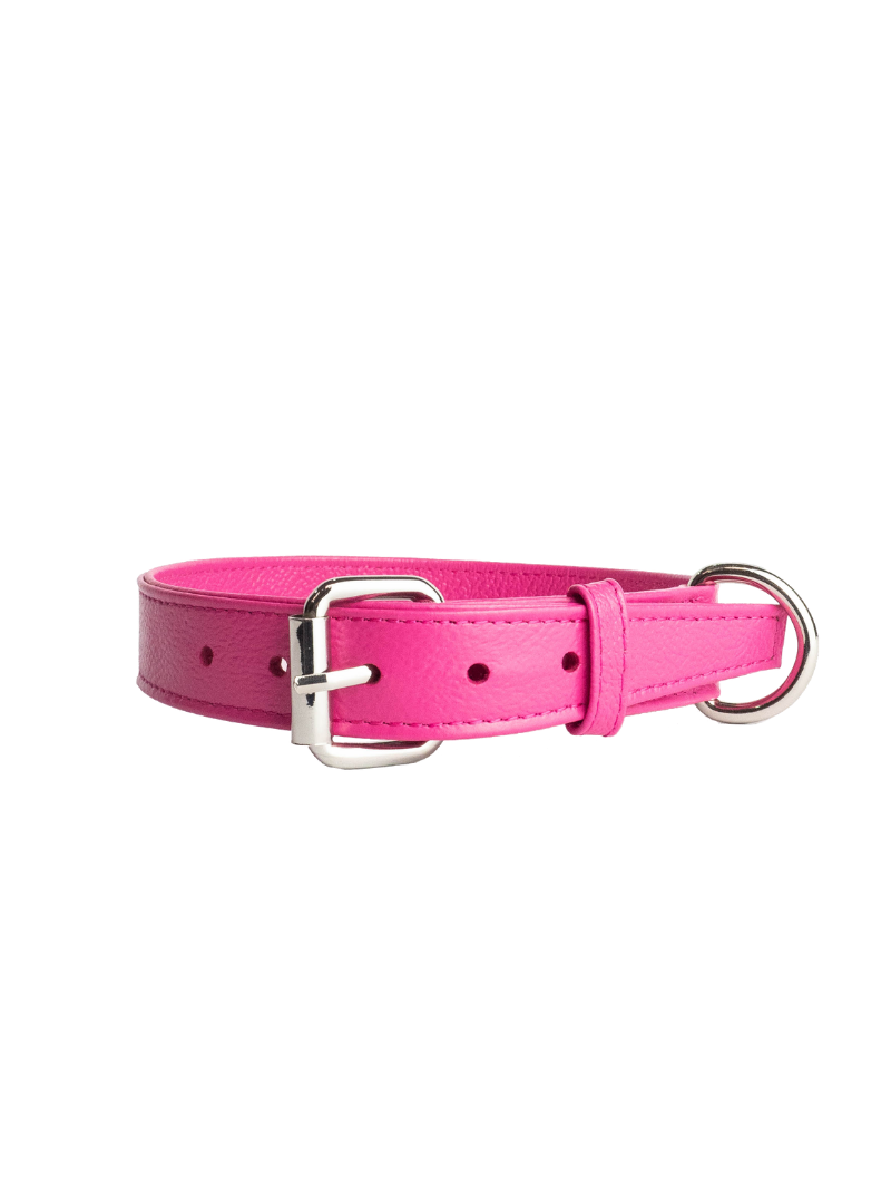 Collar de Perro Fucsia