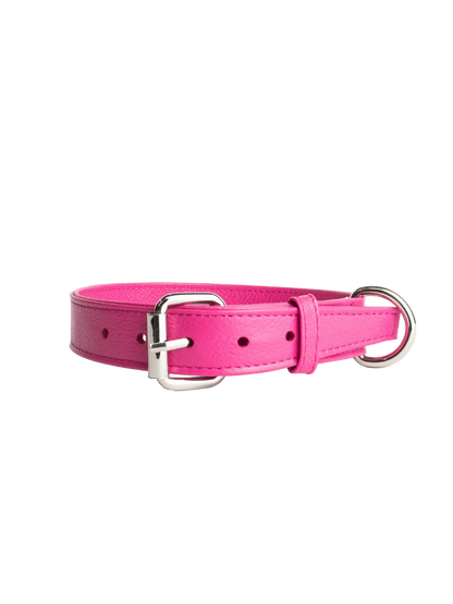 Collar de Perro Fucsia