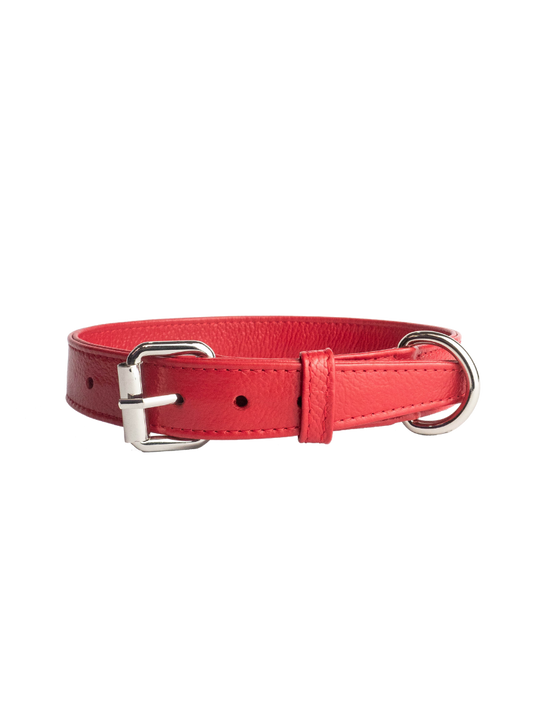 Collar de Perro Rojo
