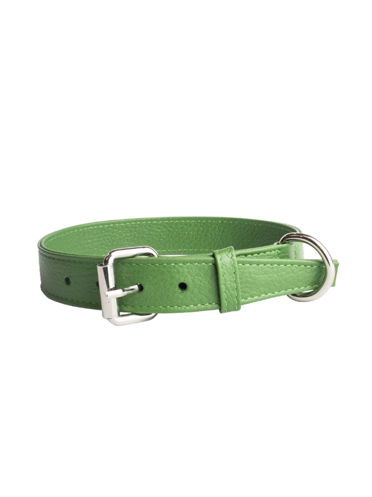 Collar de Perro Verde