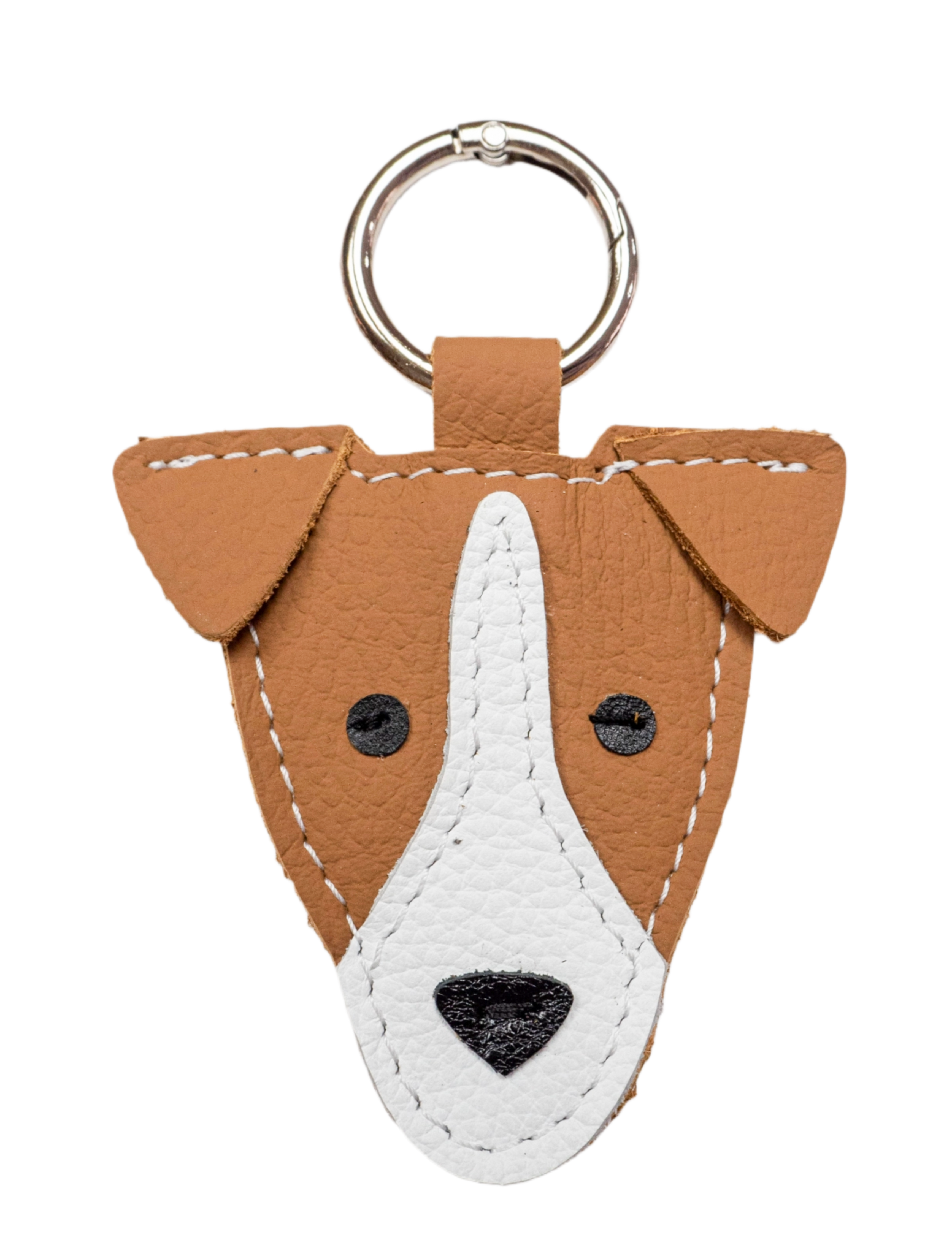 FoxTerrier.png