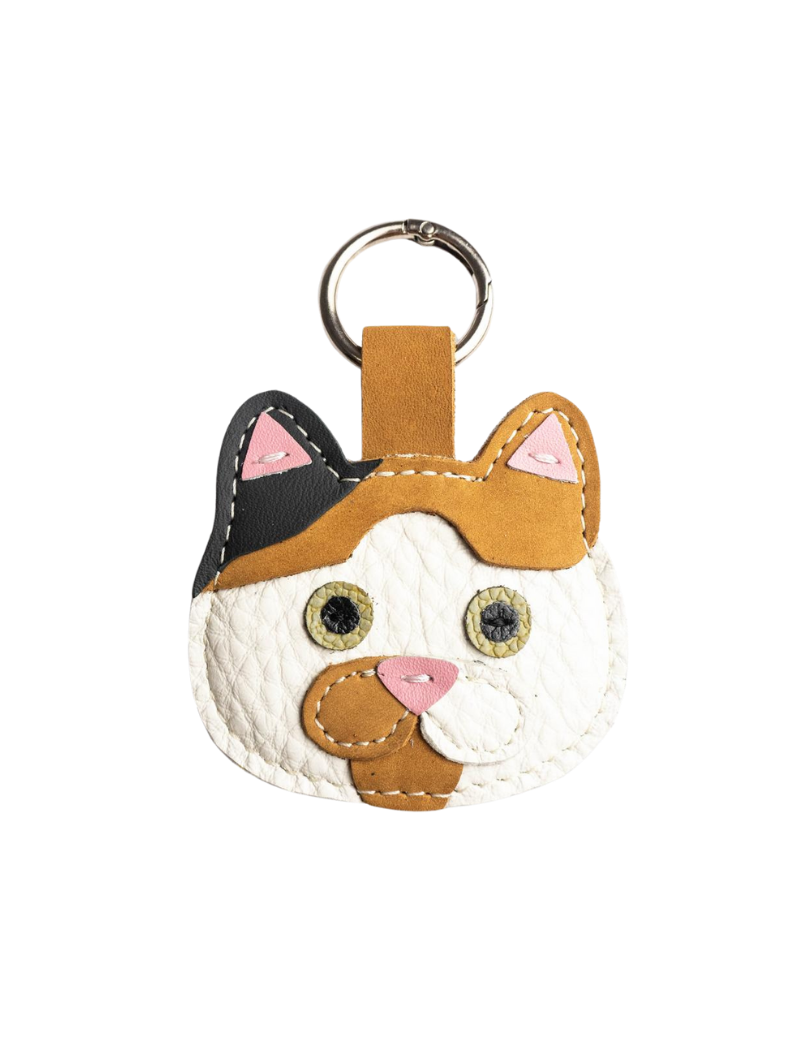 Gato_1.png