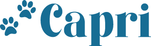 Mi tienda