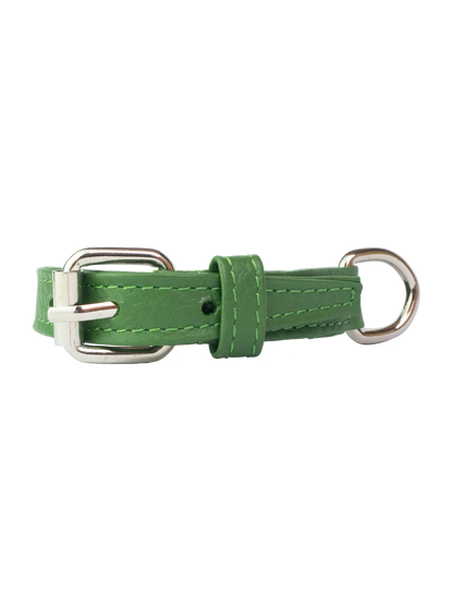 Collar de Gato Verde