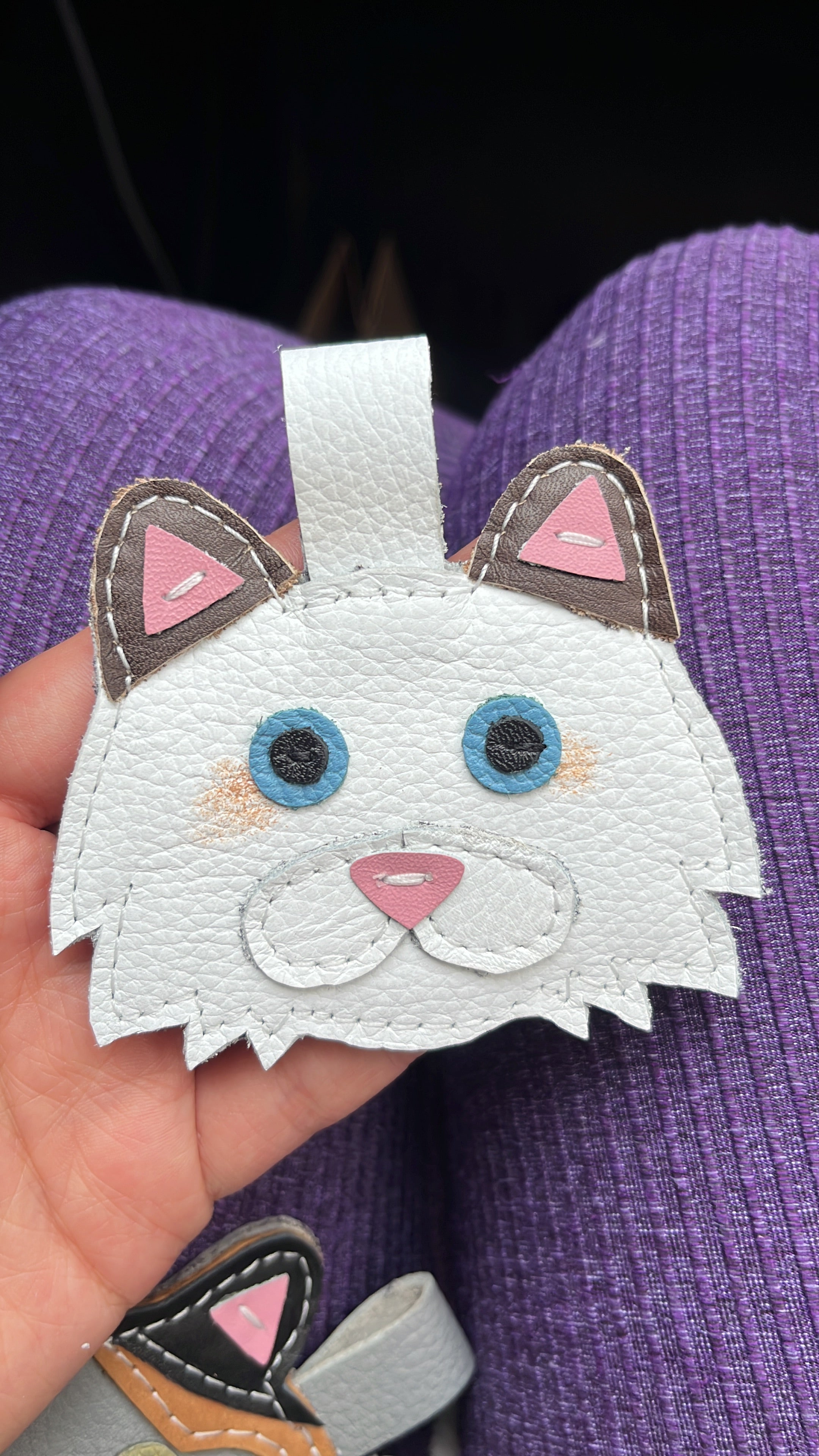 gato_3_ok.jpg